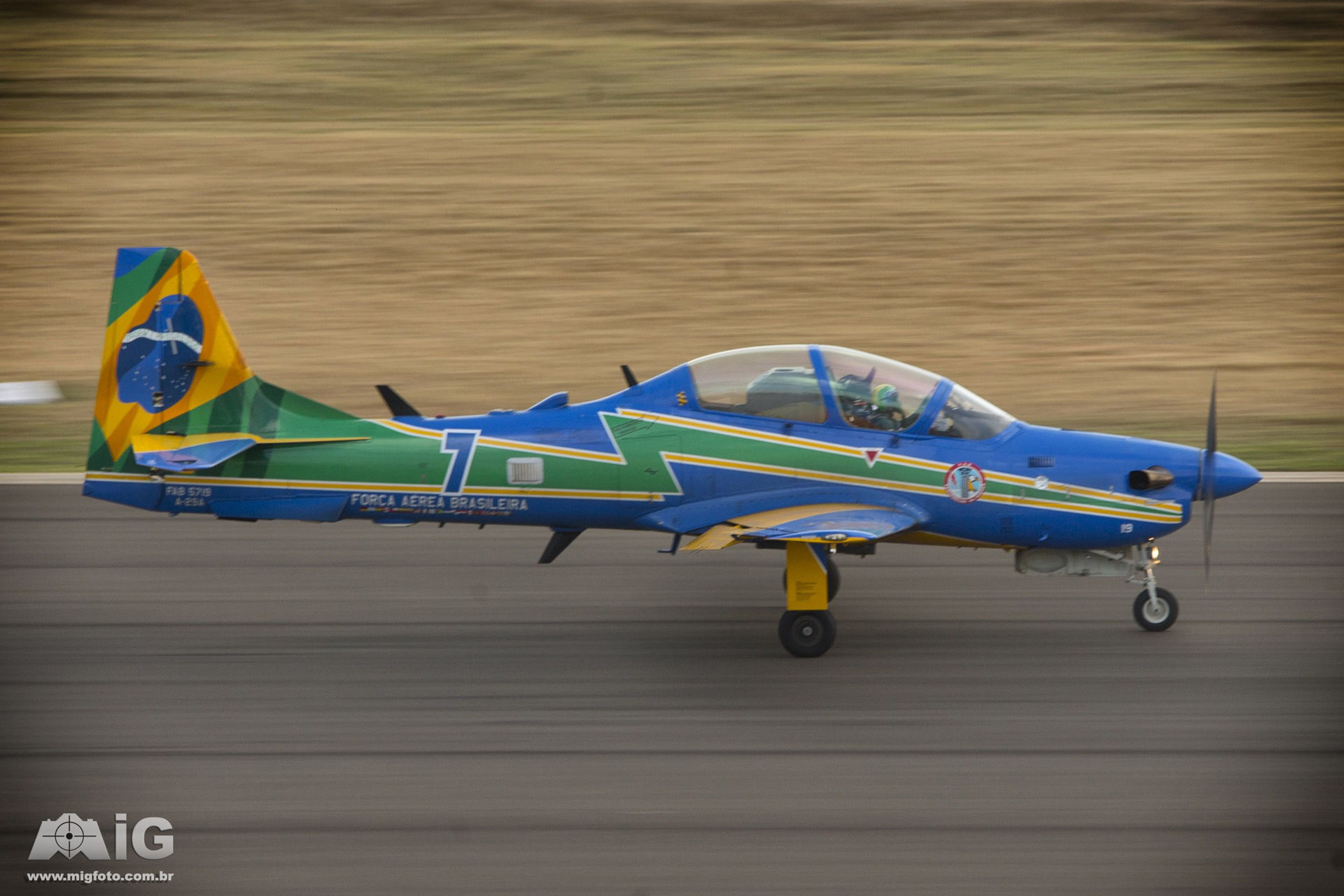 MIG_0177 copy