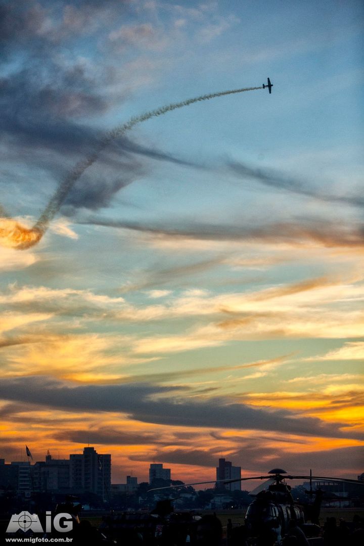 MIG_8293 copya