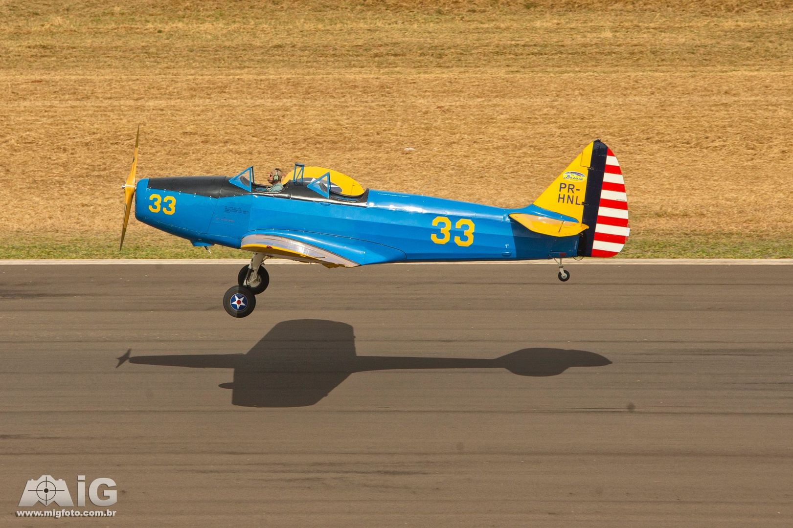 MIG_8495 copy